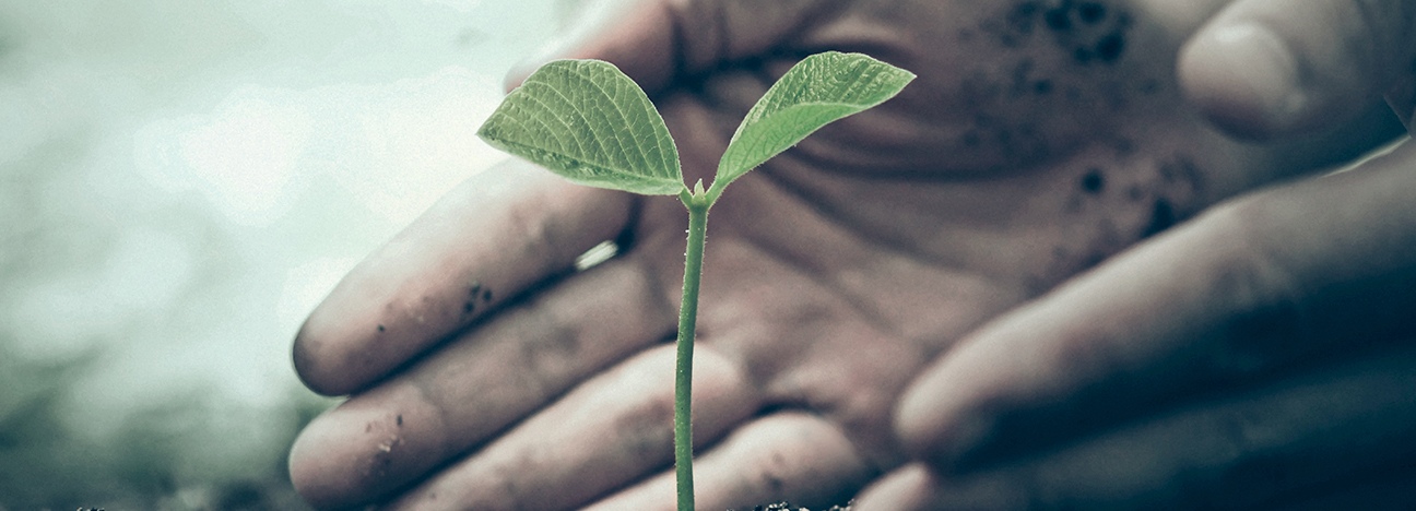 sustainability
