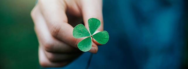 在华公益活动介绍